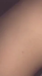 血鸢泪